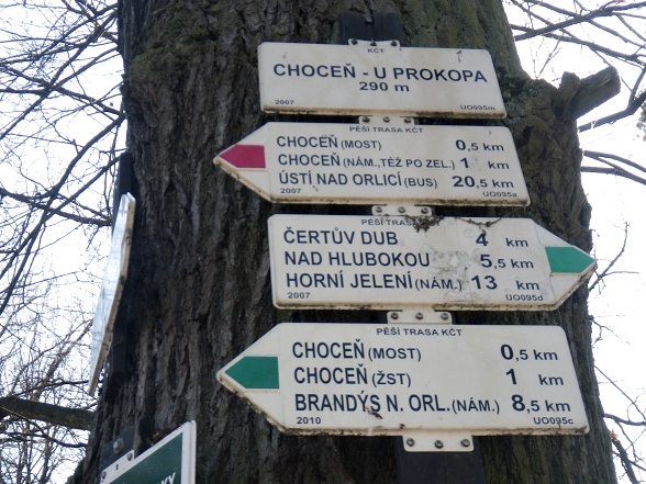 Rzcestník