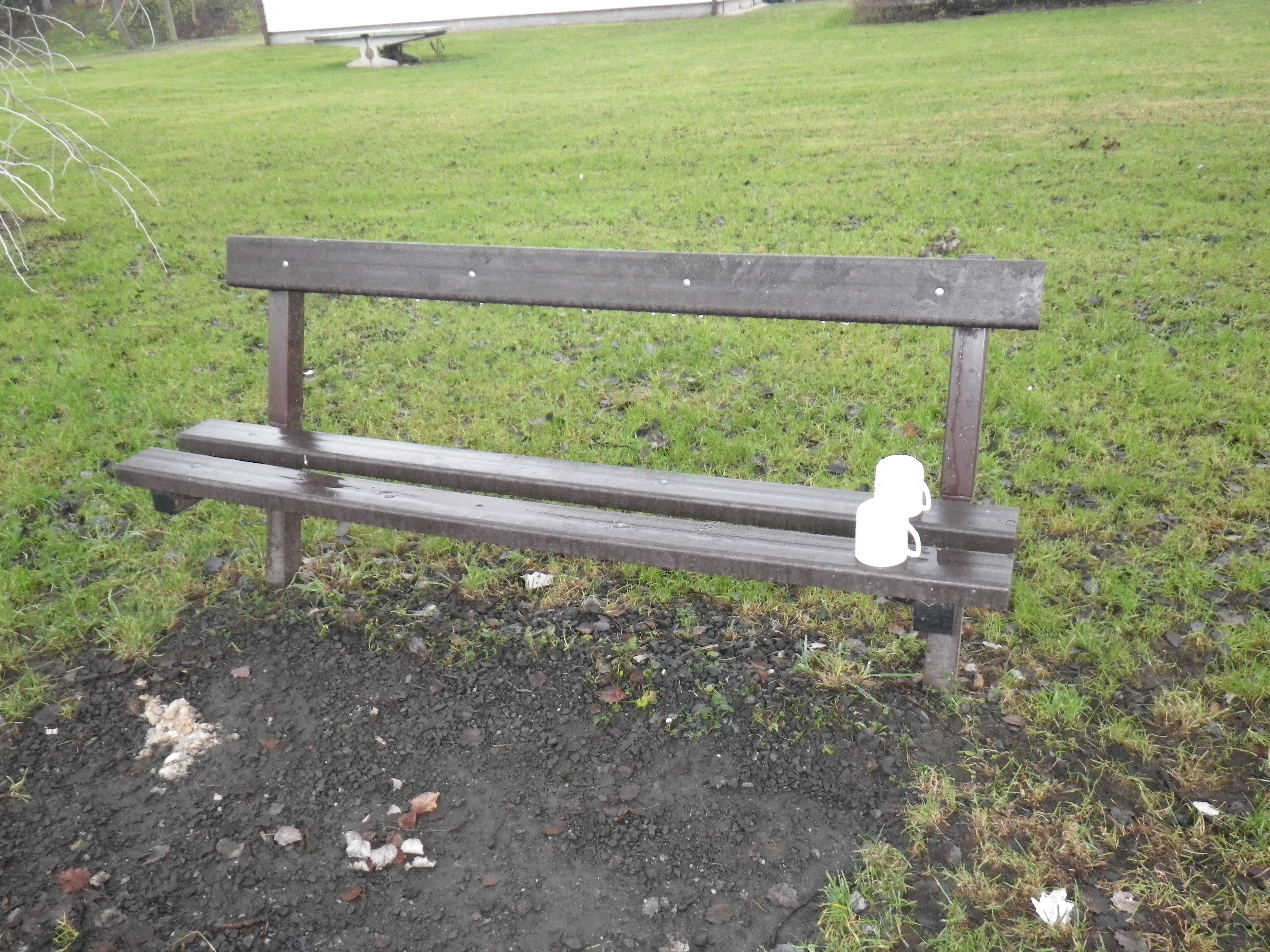 IMGP4839