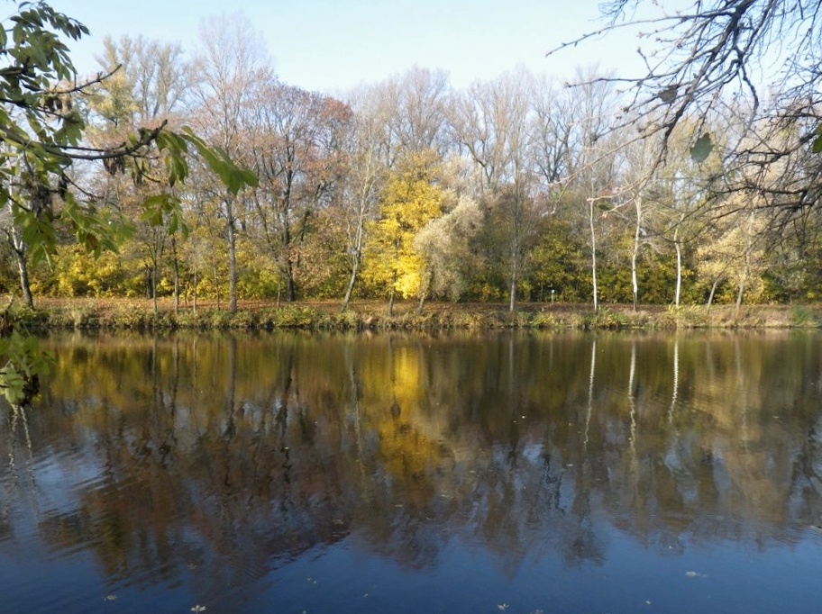 IMGP8307 Podebrady podzim