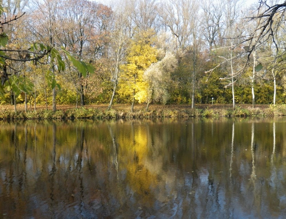 IMGP8309 podzimni Labe