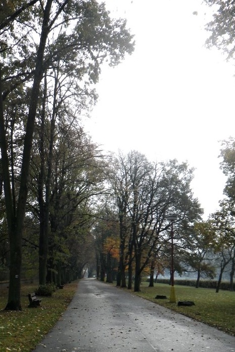 IMGP8317 podzimni alej(1)