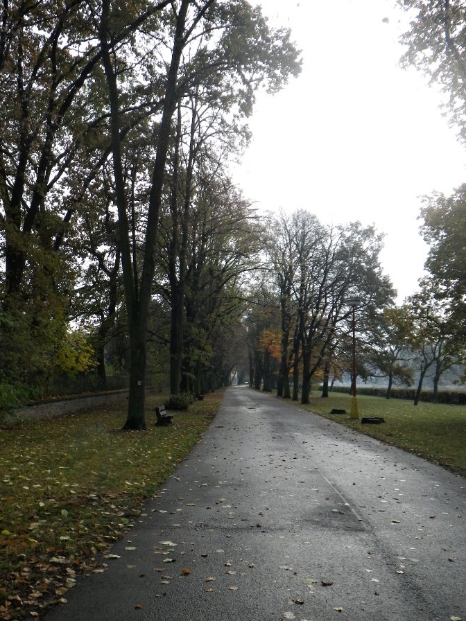 IMGP8317 podzimni alej
