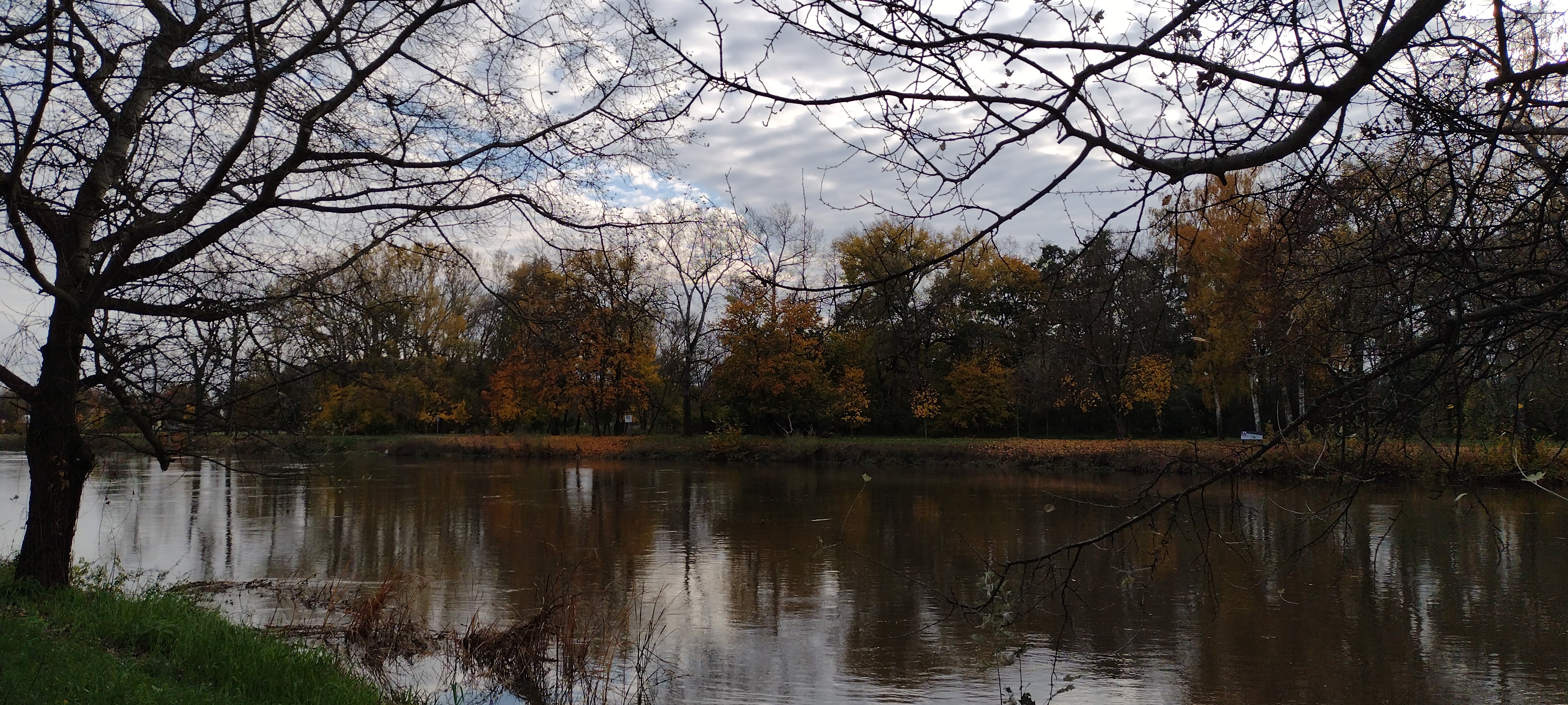 IMG_20201104_141107503