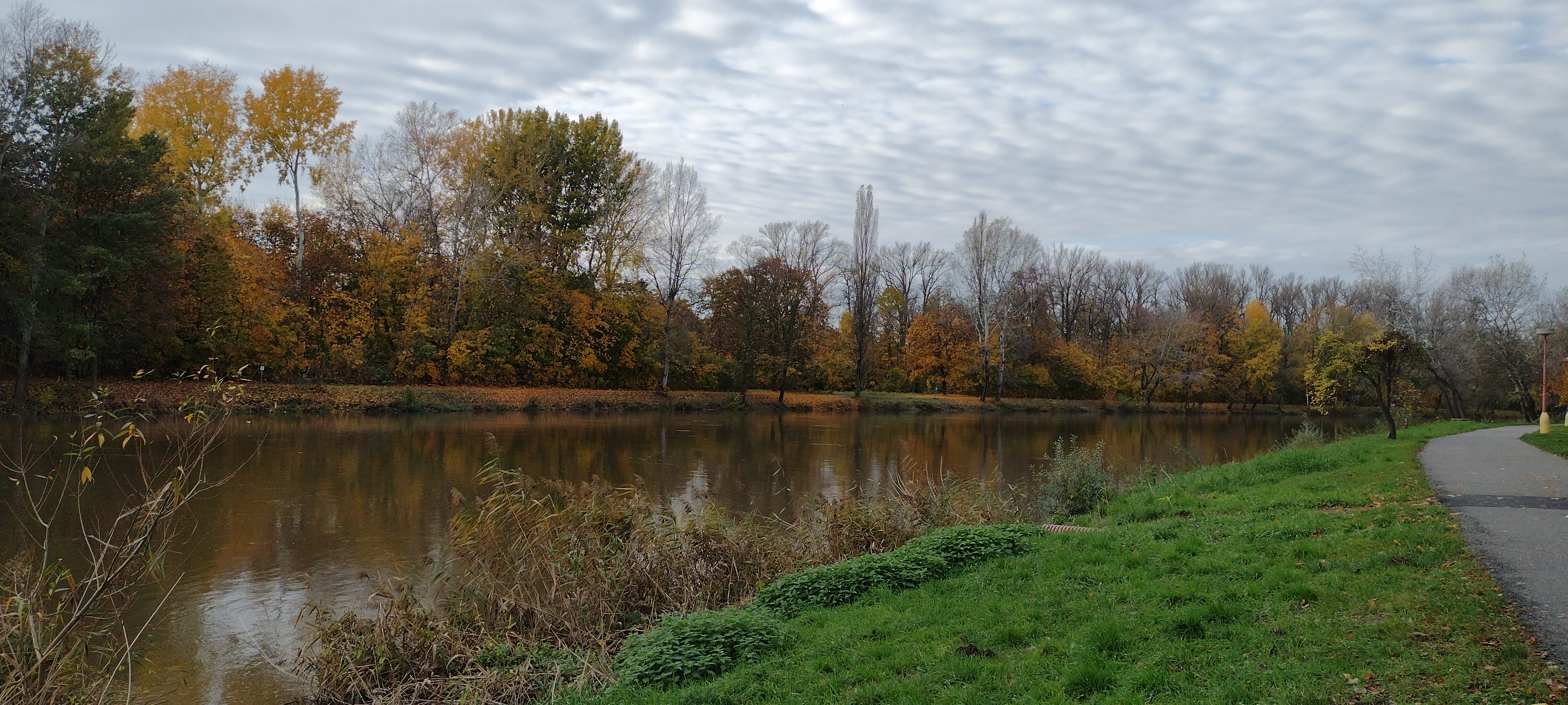 IMG_20201104_140907871