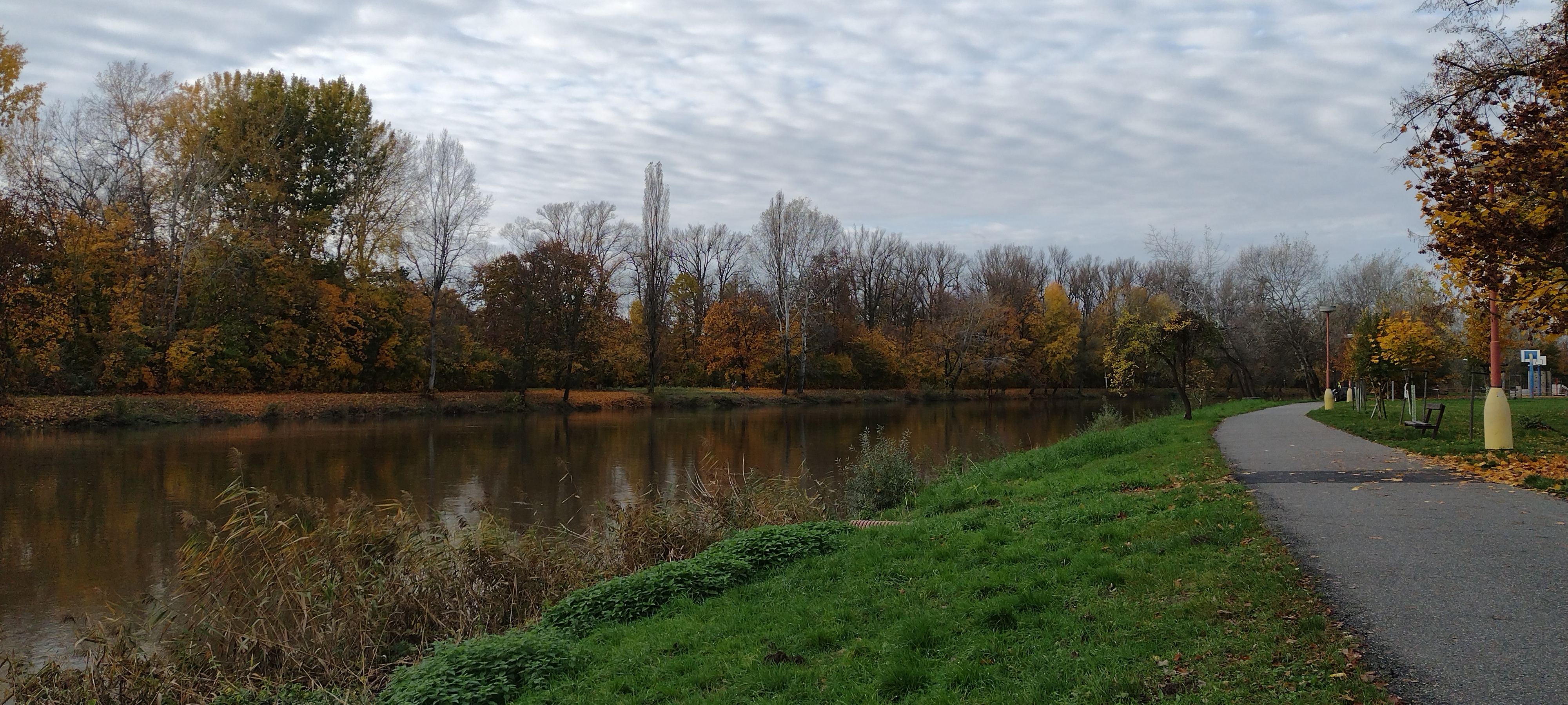 IMG_20201104_140834099