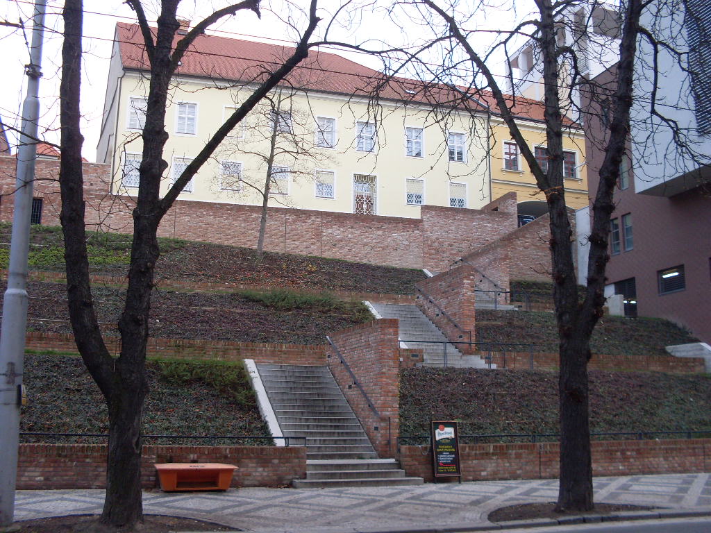 SDC14408
