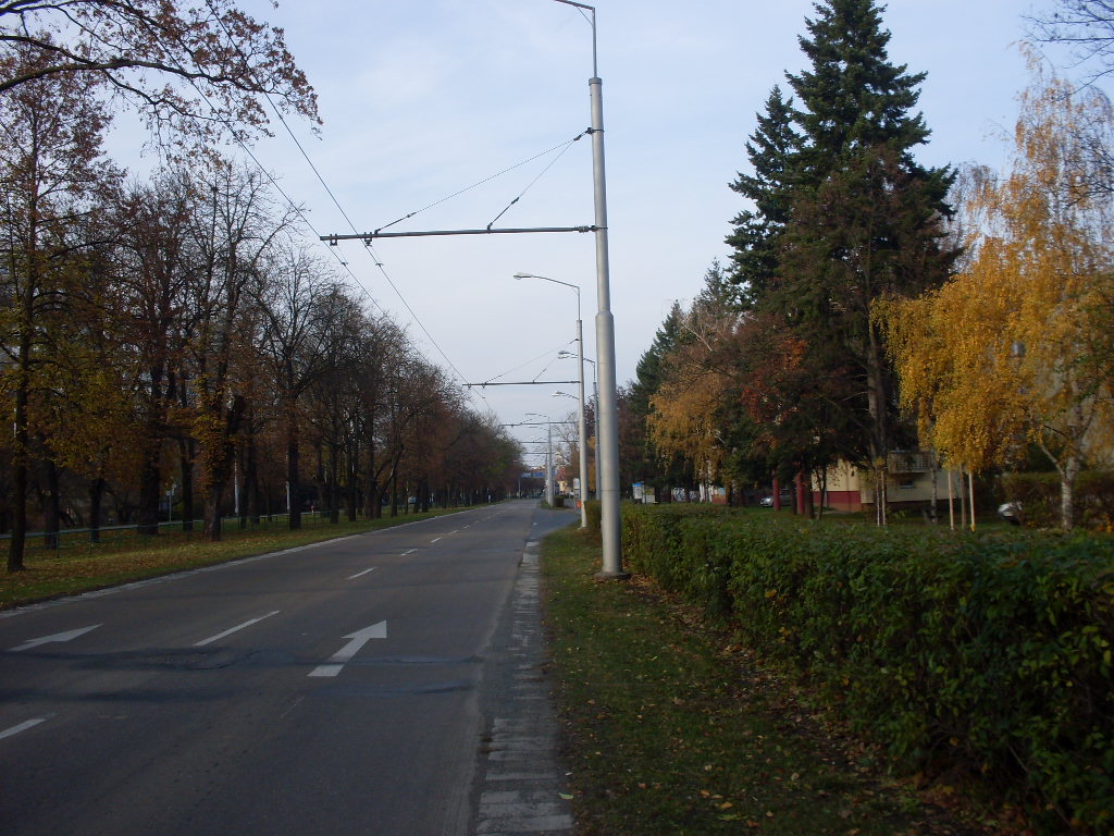 SDC14027