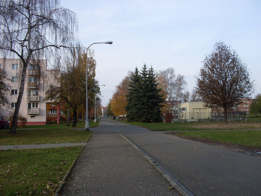 SDC14031