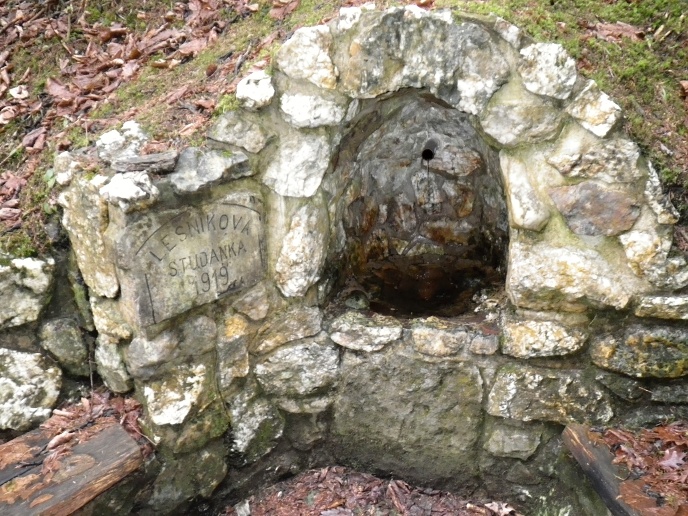 IMGP8827 Lesníkova studánka
